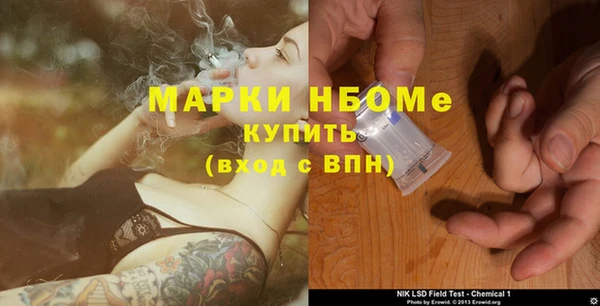 соль ск Инсар