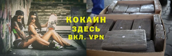 соль ск Инсар