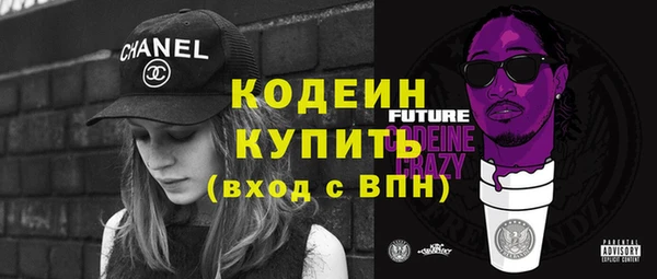 индика Иннополис