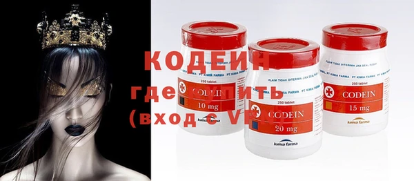 соль ск Инсар