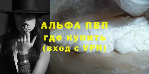 соль ск Инсар