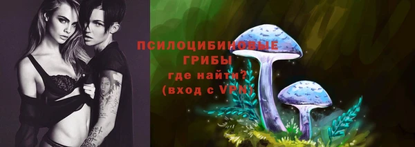 соль ск Инсар
