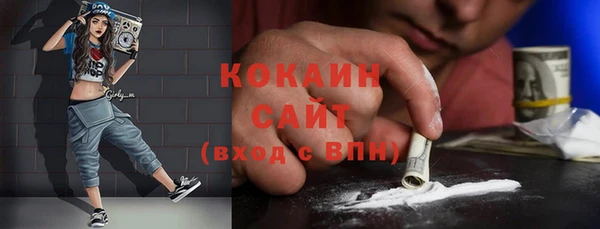 соль ск Инсар