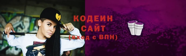 индика Иннополис