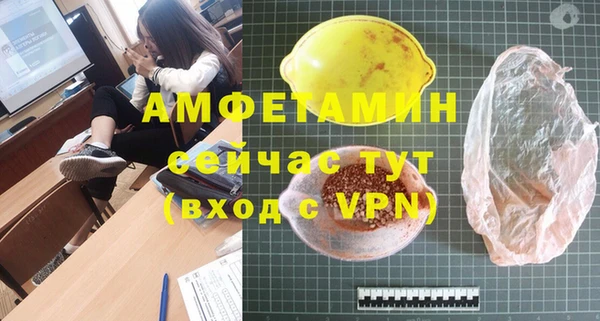 соль ск Инсар