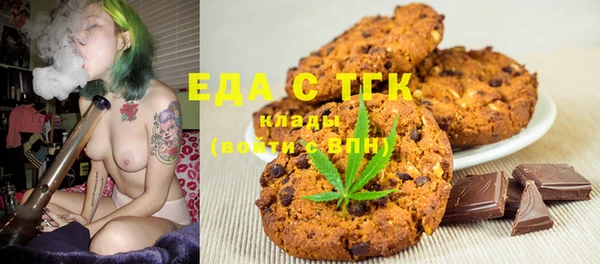 соль ск Инсар