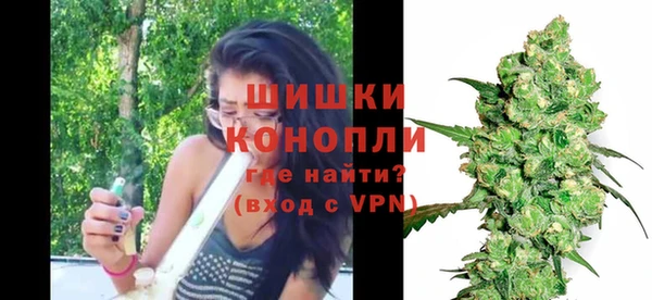 соль ск Инсар