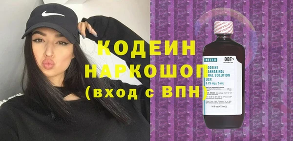 индика Иннополис