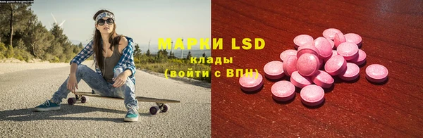 индика Иннополис
